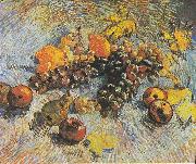Vincent Van Gogh Still Life with Grapes, apples, lemons and pear Spain oil painting artist